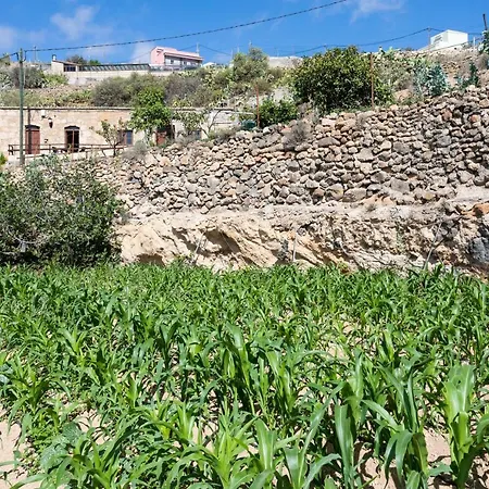 Eco Holidays House Raices Fasnia