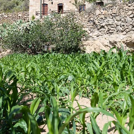 Eco Holidays House Raices Ferienhaus